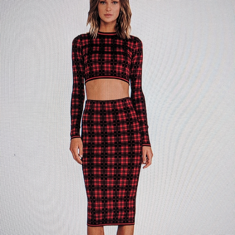 NWT Torn Ronny Kobo top and skirt Small s Sold Out